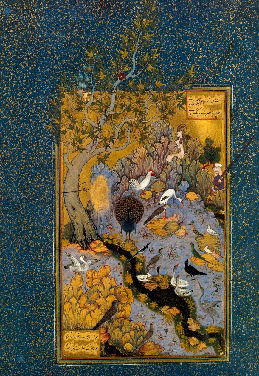 Folio uit Mantiq al-Tayr De Taal van de Vogels, door Attar, ca. 1600 door Habib Allah