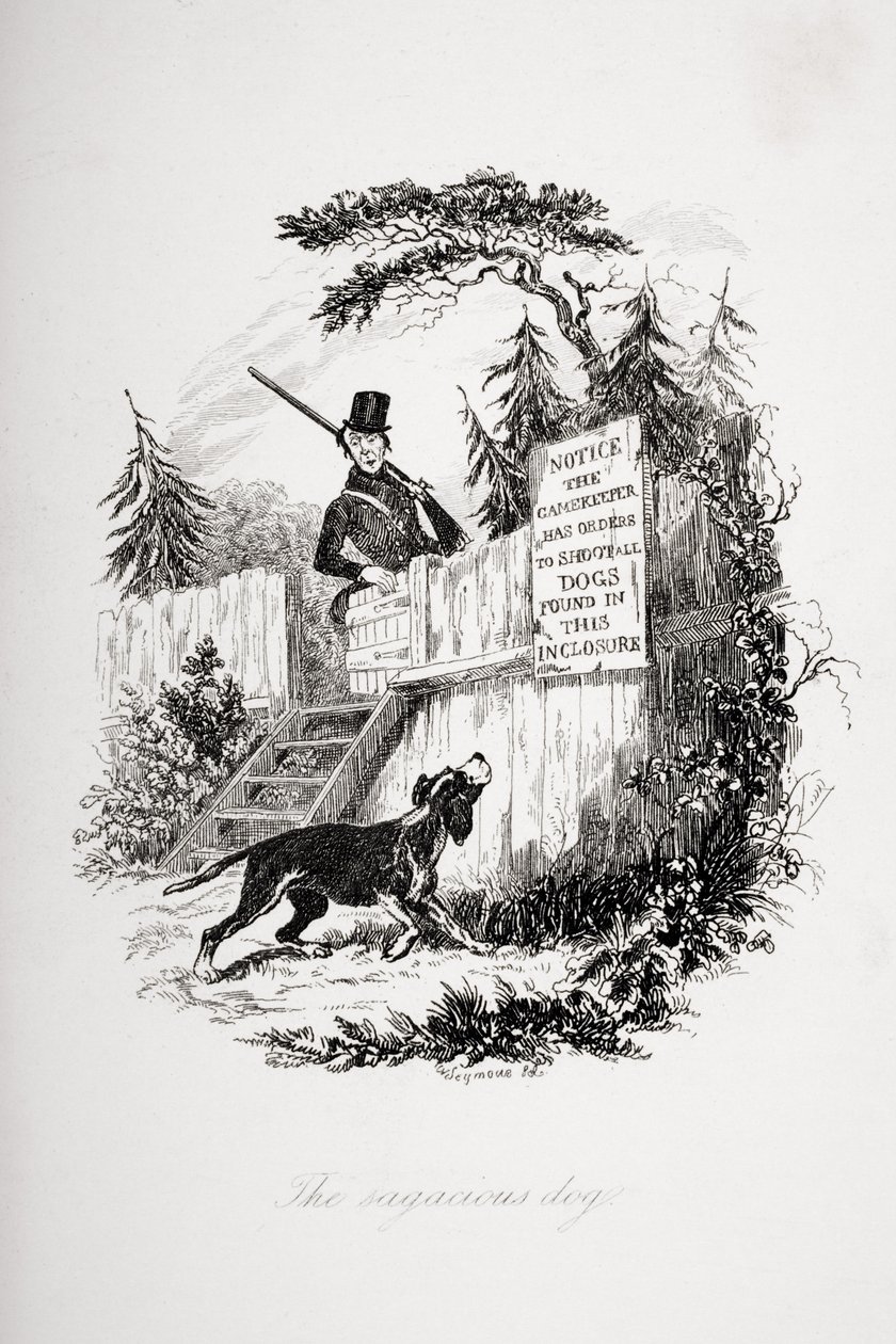 De wijze hond, illustratie uit 