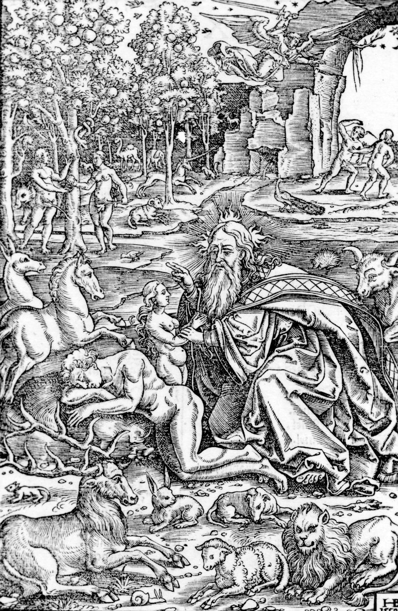 De schepping van Eva, uit de Lutherbijbel, 1550 door Hans Brosamer