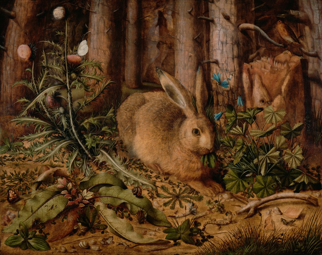 Een haas in het bos door Hans Hoffmann