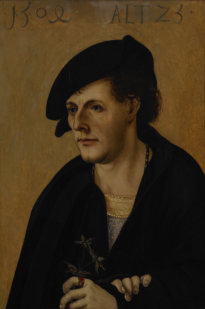 Portret van een Jonge Man door Hans Leonhard Schäufelein