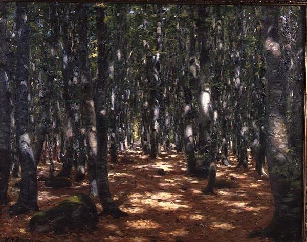 Zonnig Bos door Hans Andersen Brendekilde