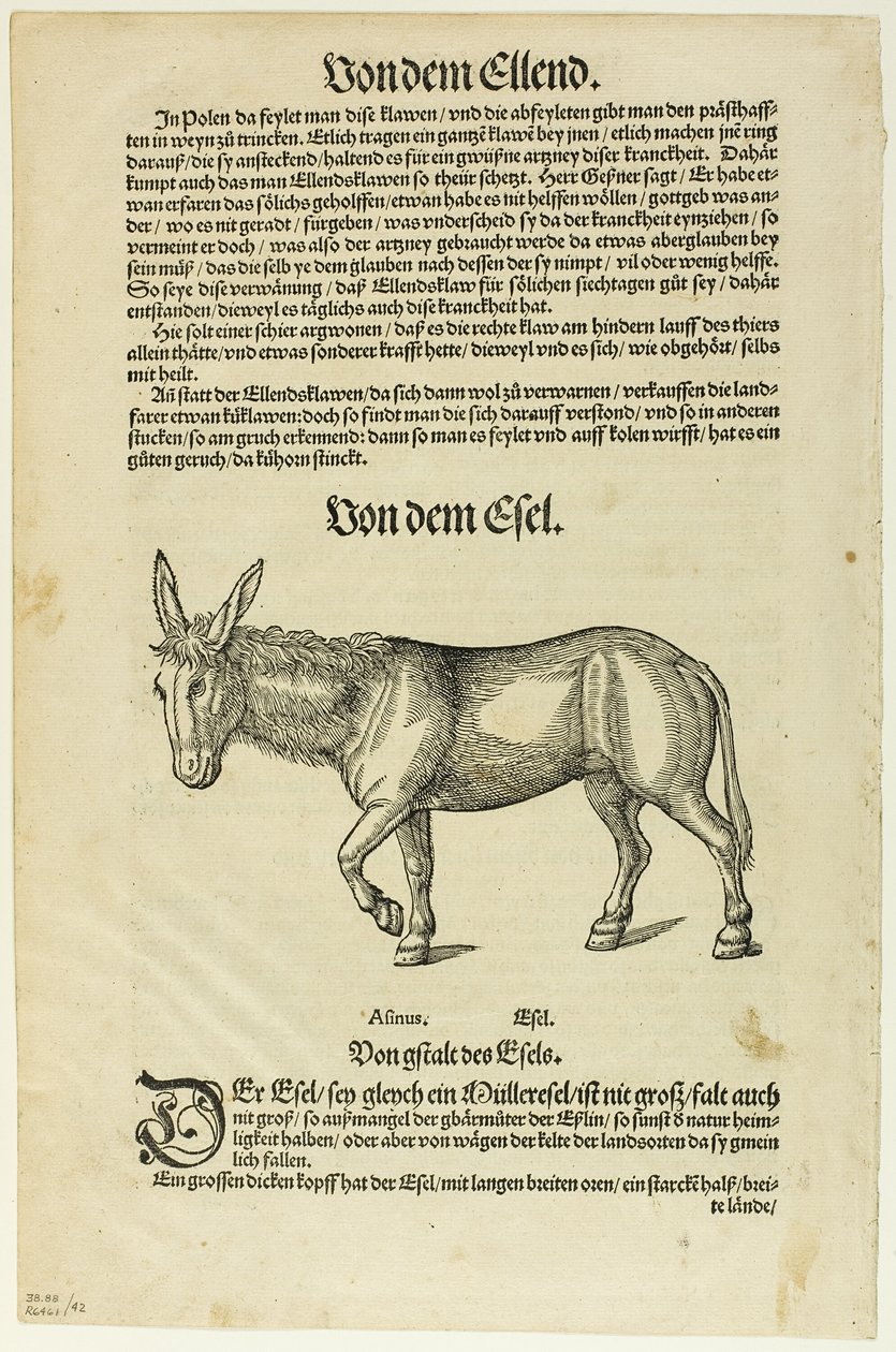 Illustratie uit "Thierbuch", plaat 42 uit Woodcuts from Books of the XVI Century door Hans Asper