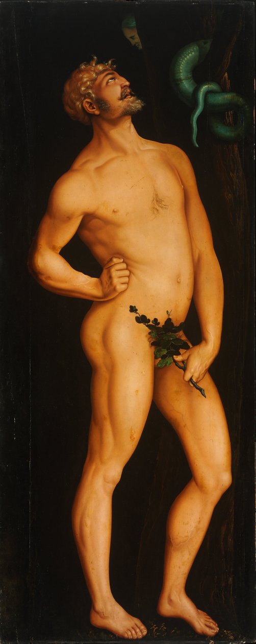 Adam door Hans Baldung