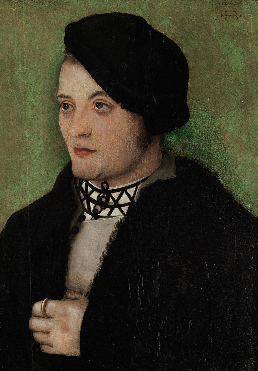 Duits: Portret van een jonge man in half profiel links Portret van een jonge man door Hans Baldung Grien