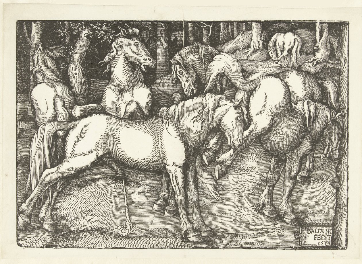 Groep van zes vechtende paarden door Hans Baldung Grien