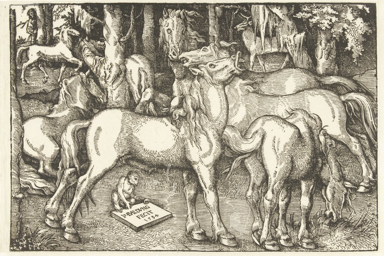 Groep van zeven paarden en een aap door Hans Baldung Grien