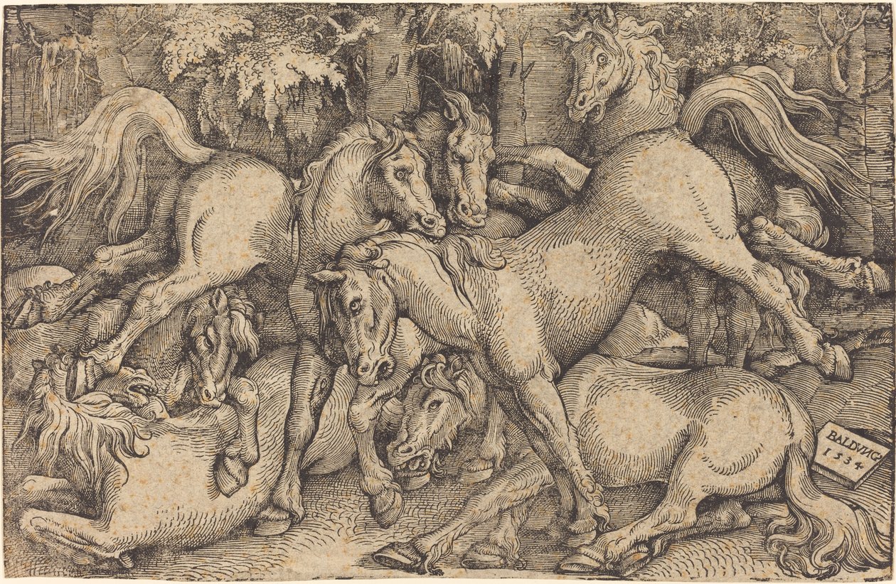 Groep van zeven paarden in het bos door Hans Baldung Grien