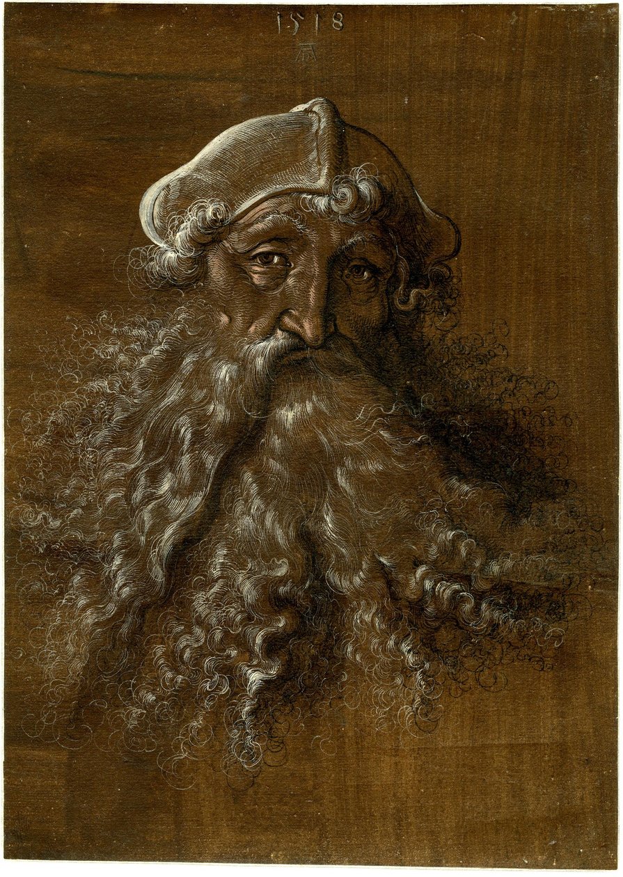 Hoofd van een oude man met een zware baard door Hans Baldung Grien