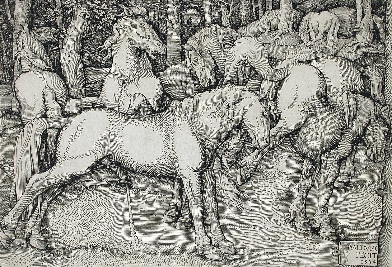 Een hengst en een merrie die zich losmaakt, temidden van een groep wilde paarden in het bos door Hans Baldung Grien