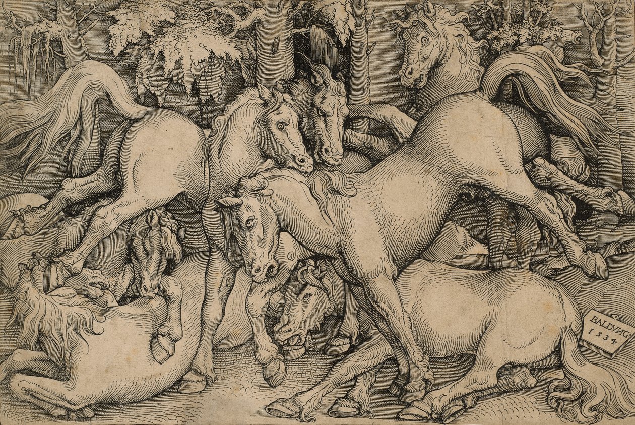 Wilde paarden vechten door Hans Baldung Grien