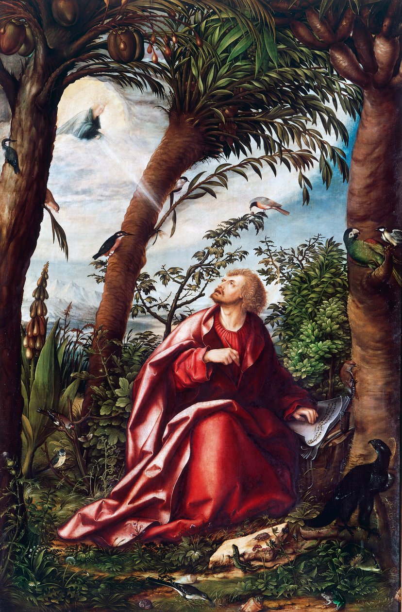 Visioen van Sint Jan op Patmos (detail) door Hans Burgkmair