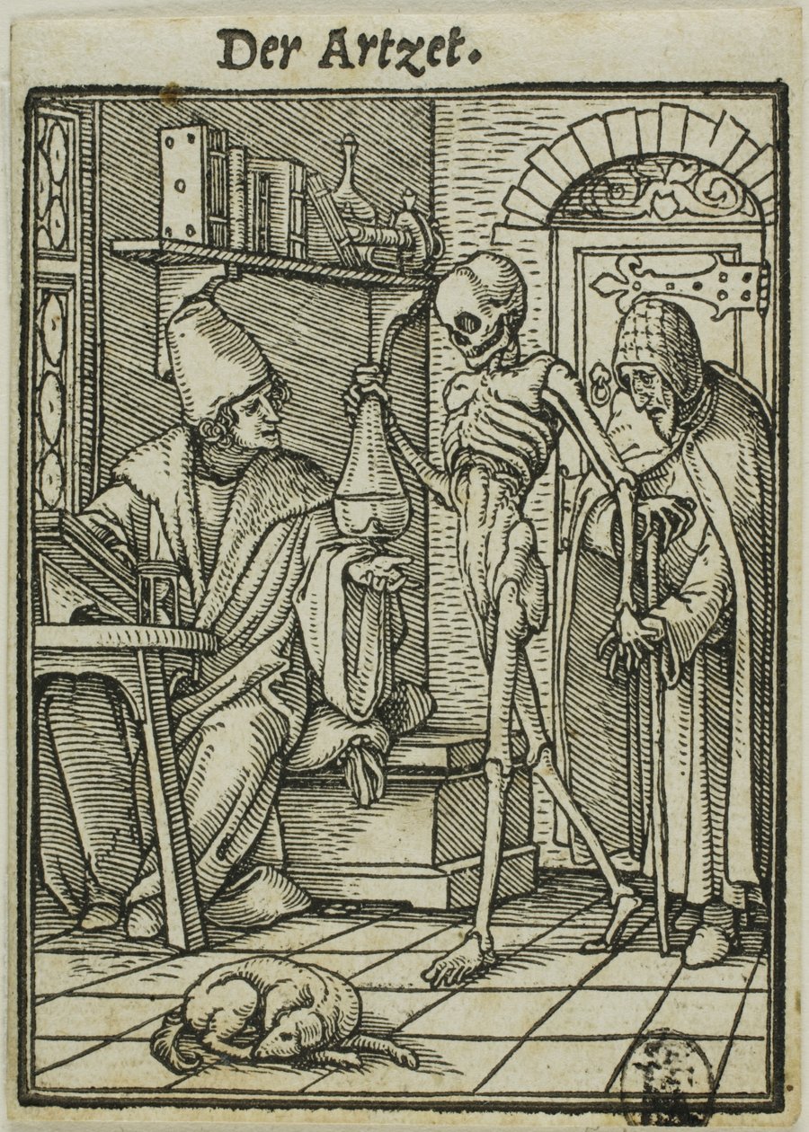 De arts door Hans Holbein the Younger