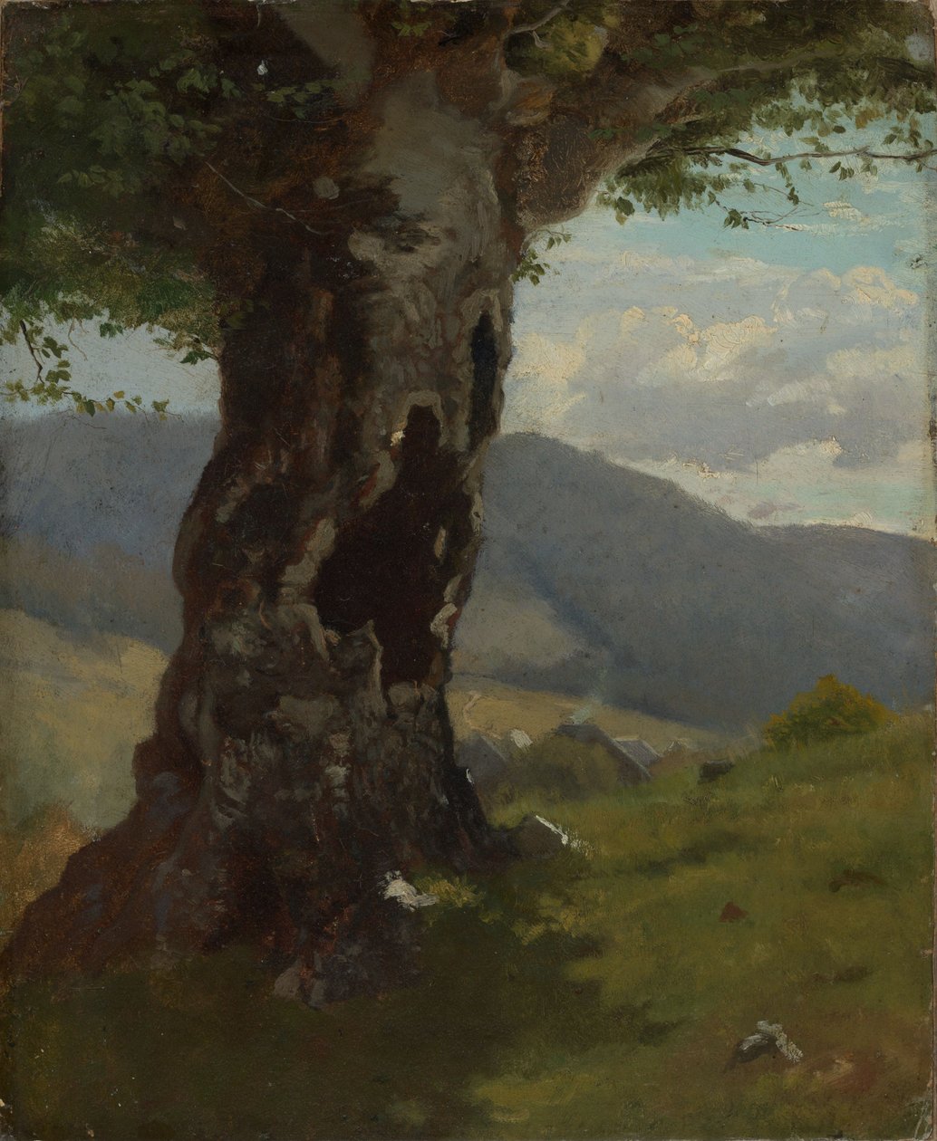 Oude boomstam met uitzicht op de vallei door Hans Thoma