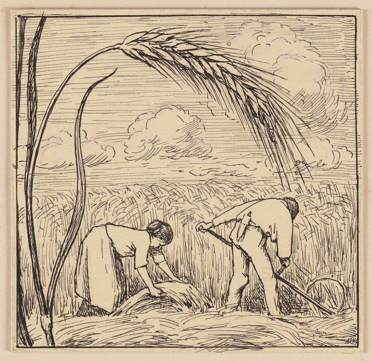 Tekening voor het leerboek: Maïskolf door Hans Thoma