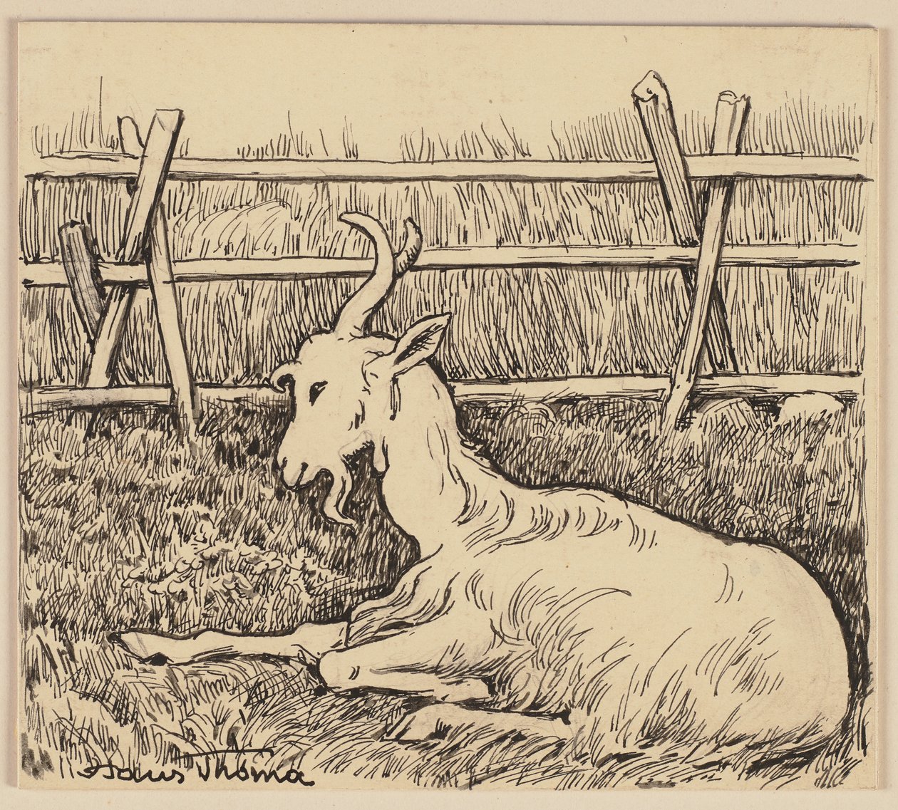 Tekening voor het leesboek: Geit door Hans Thoma