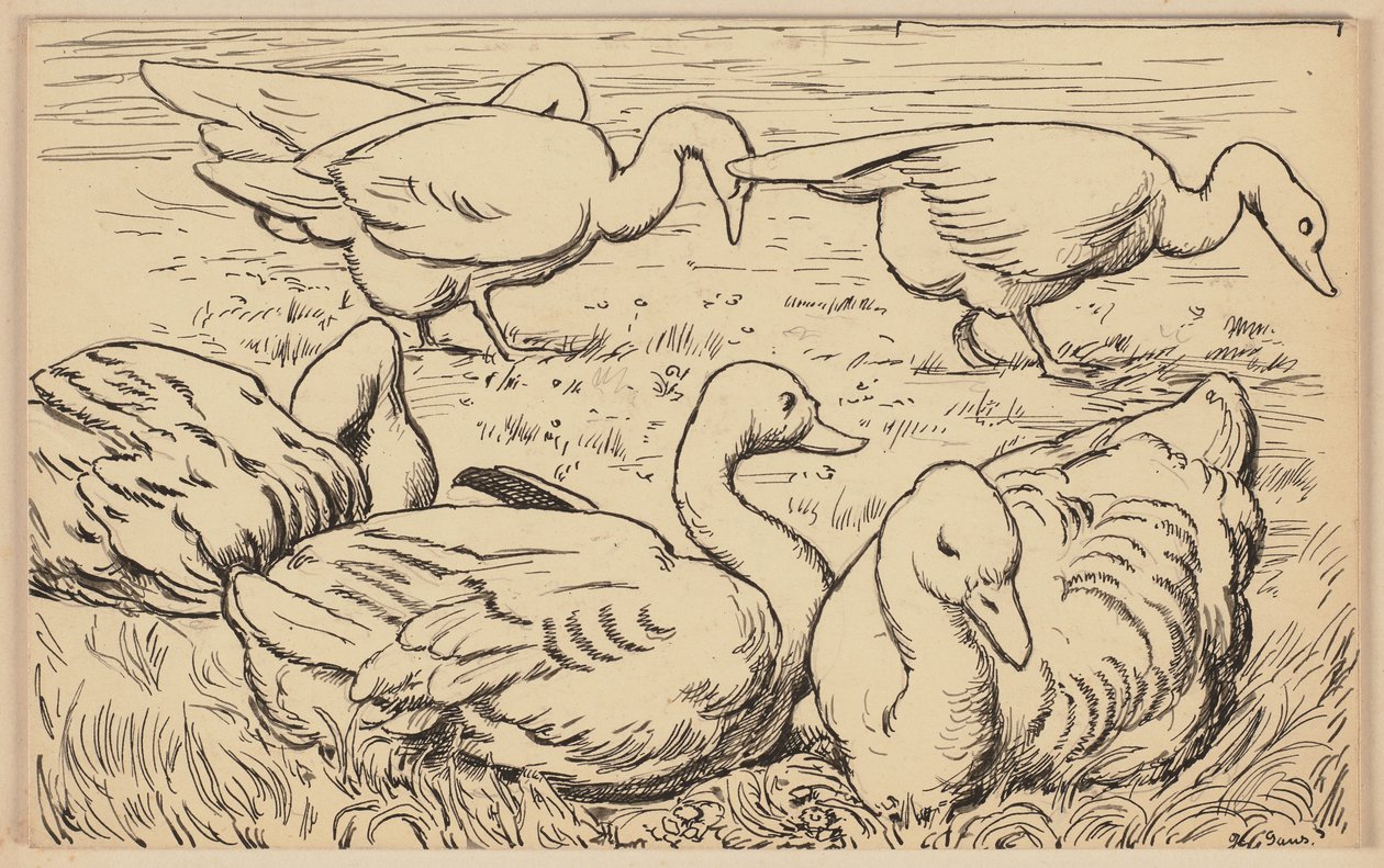 Tekening voor het leerboek: Gans door Hans Thoma