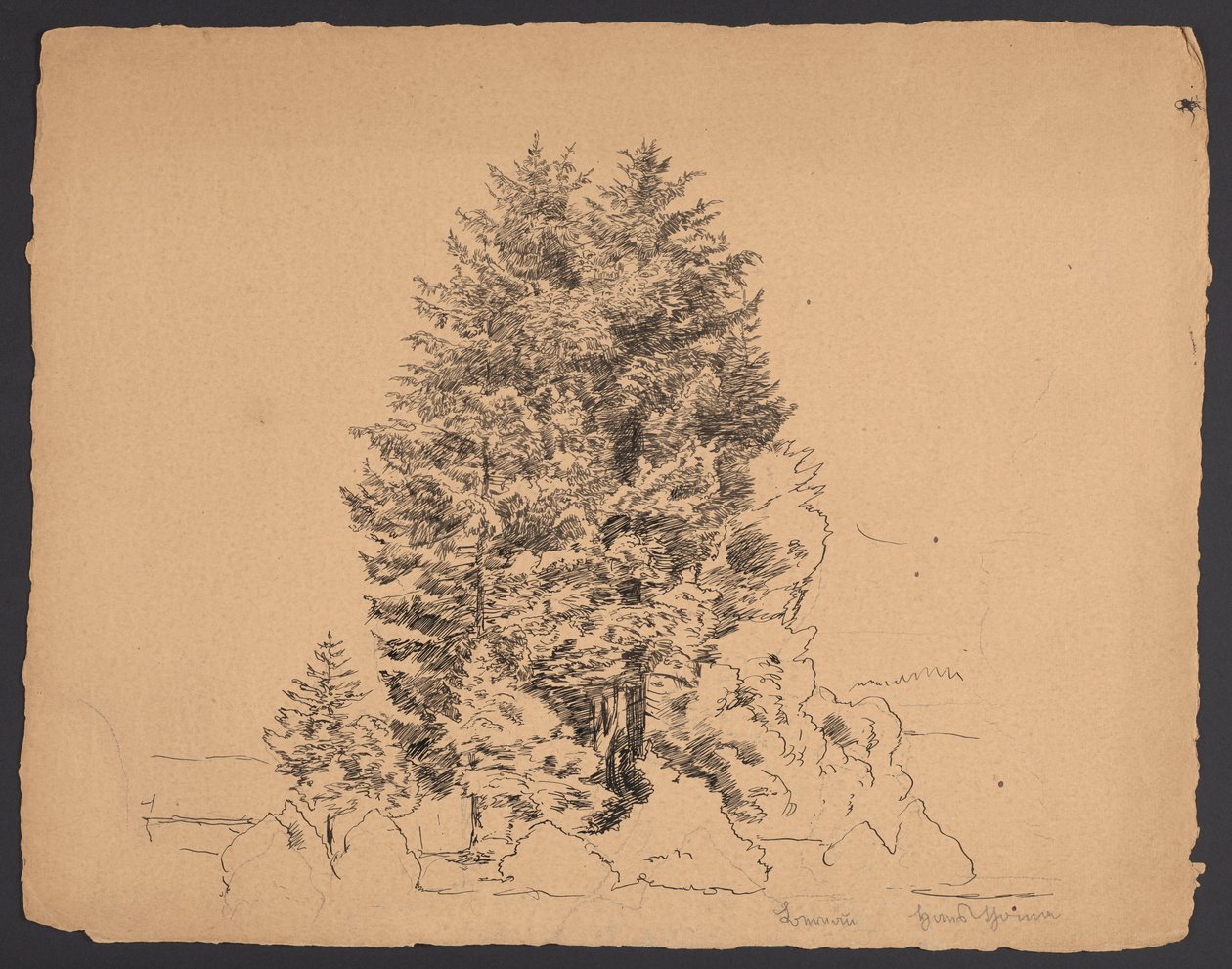 Bomen in Bernau door Hans Thoma