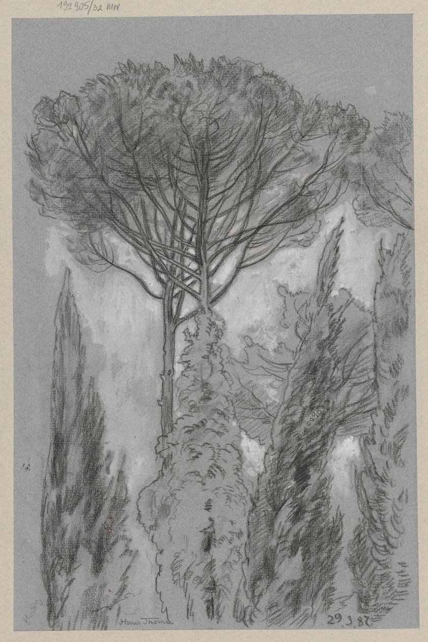 Bomen in Florence door Hans Thoma