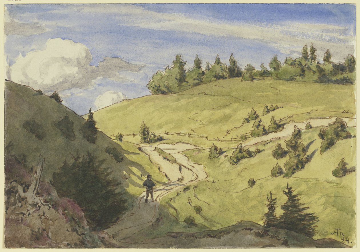 Landschap in het Zwarte Woud door Hans Thoma