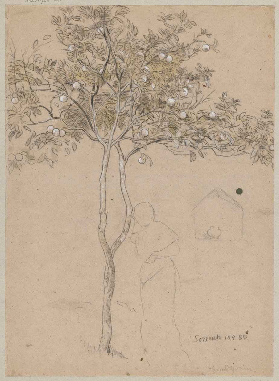 Studie van een sinaasappelboom uit de omgeving van Sorrento. Omtrek van een vrouwelijke figuur door Hans Thoma