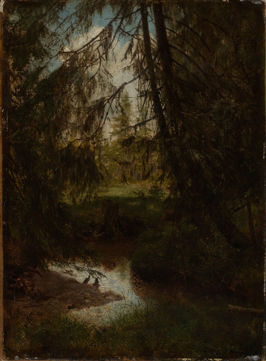 Sparren bij de bosbeek door Hans Thoma