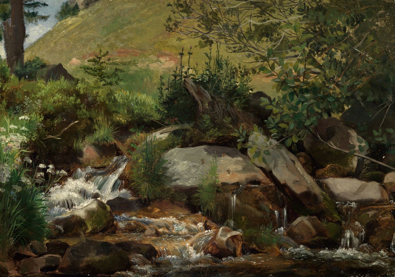 Wiesenbach met struiken en grassen door Hans Thoma
