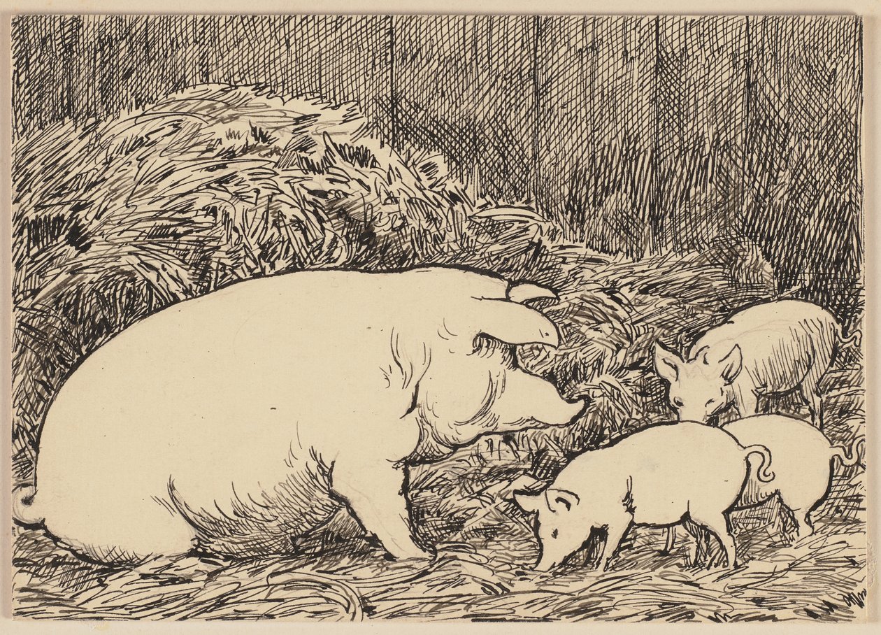 Tekening bij het leerboek: varken door Hans Thoma