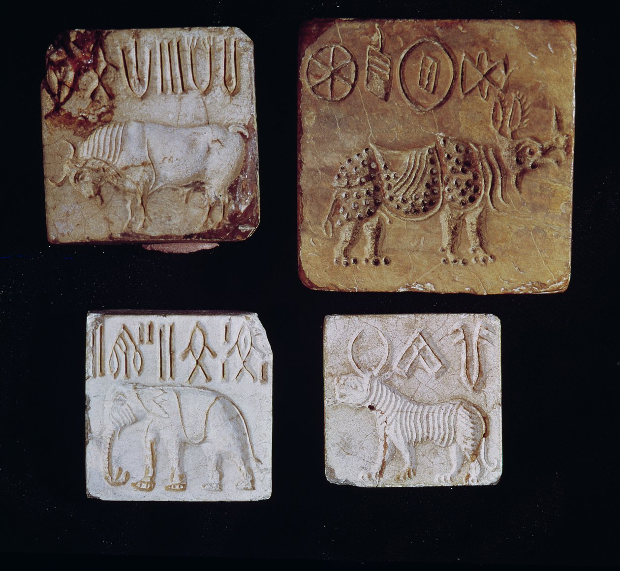 Vier zegels met een stier, een neushoorn, een olifant en een tijger met pictografische symbolen, uit de Indusvallei, Pakistan, 3000-1500 v.Chr. door Harappan