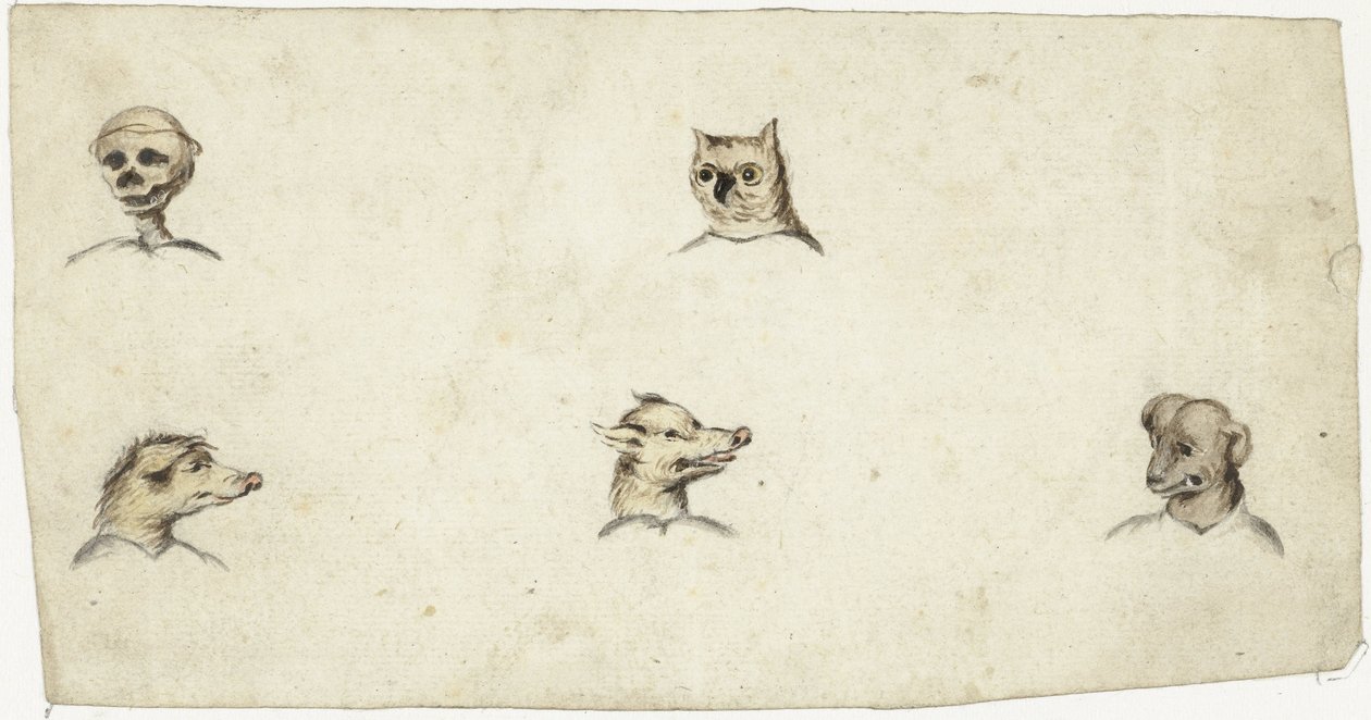 Hoofden van vier dieren en een skelet door Harmen ter Borch