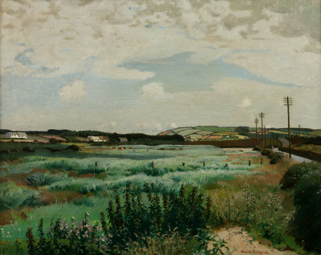 Marazion Moeras door Harold Harvey