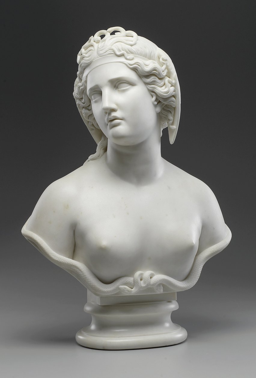 Medusa door Harriet Goodhue Hosmer