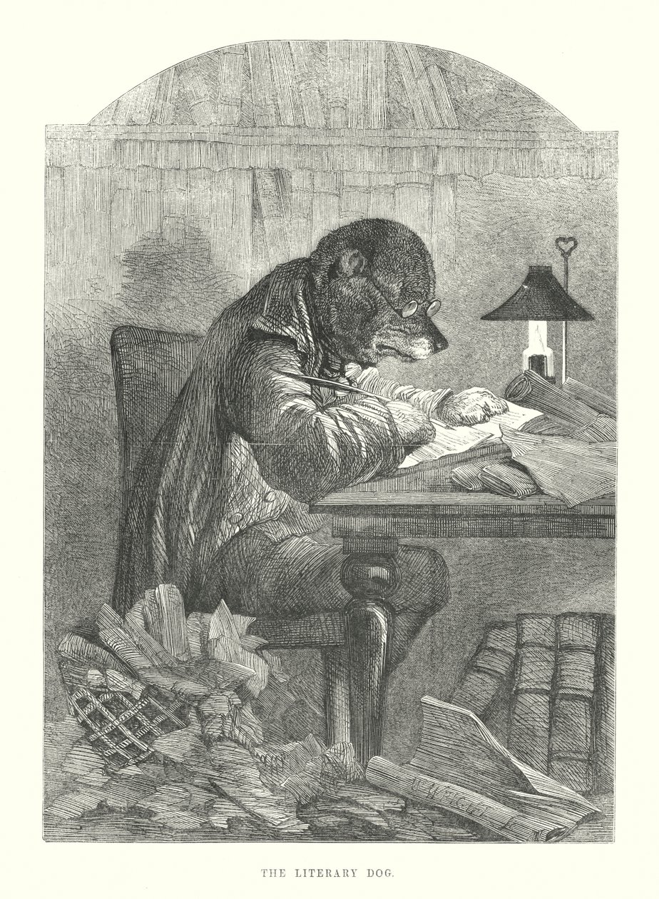 Grappige honden: de literaire hond (gravure) door Harrison William Weir