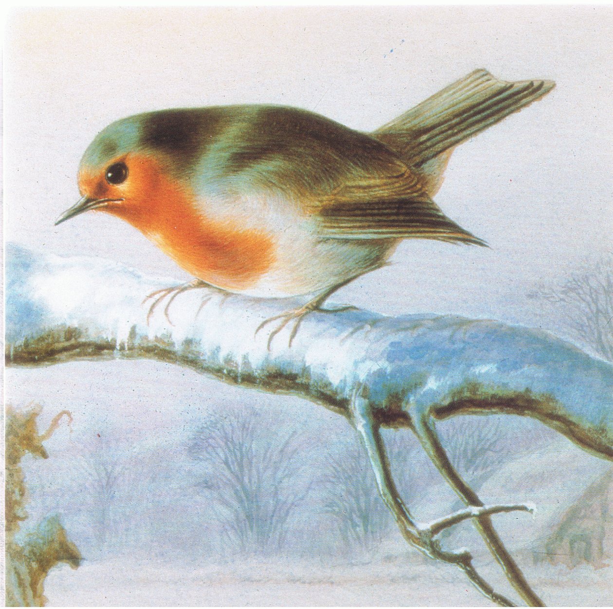 Roodborstje, Kleuren kerstkaart door Harry Bright