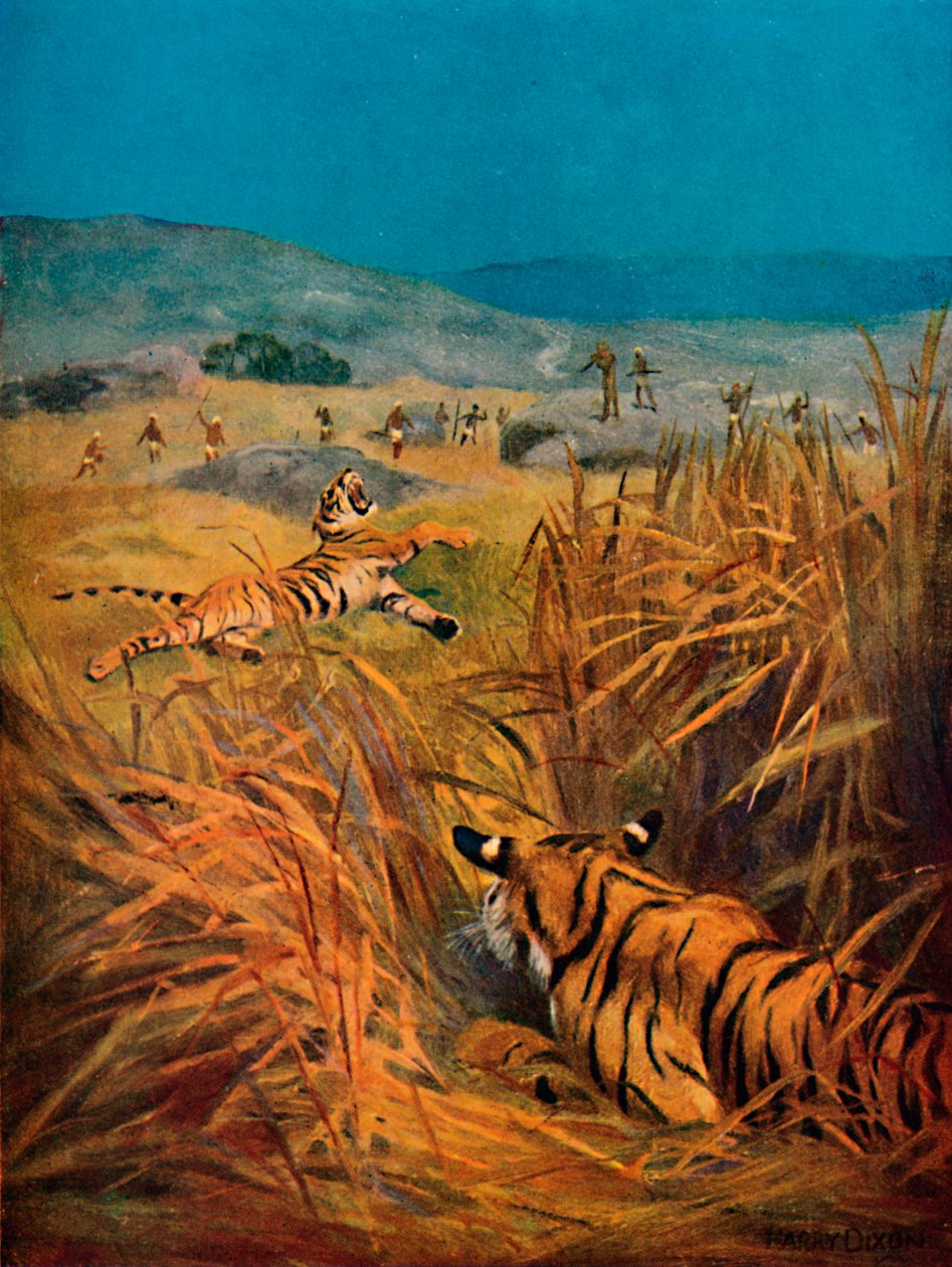 Tijgers - De schrik van Indiase dorpen, 1913 door Harry Dixon