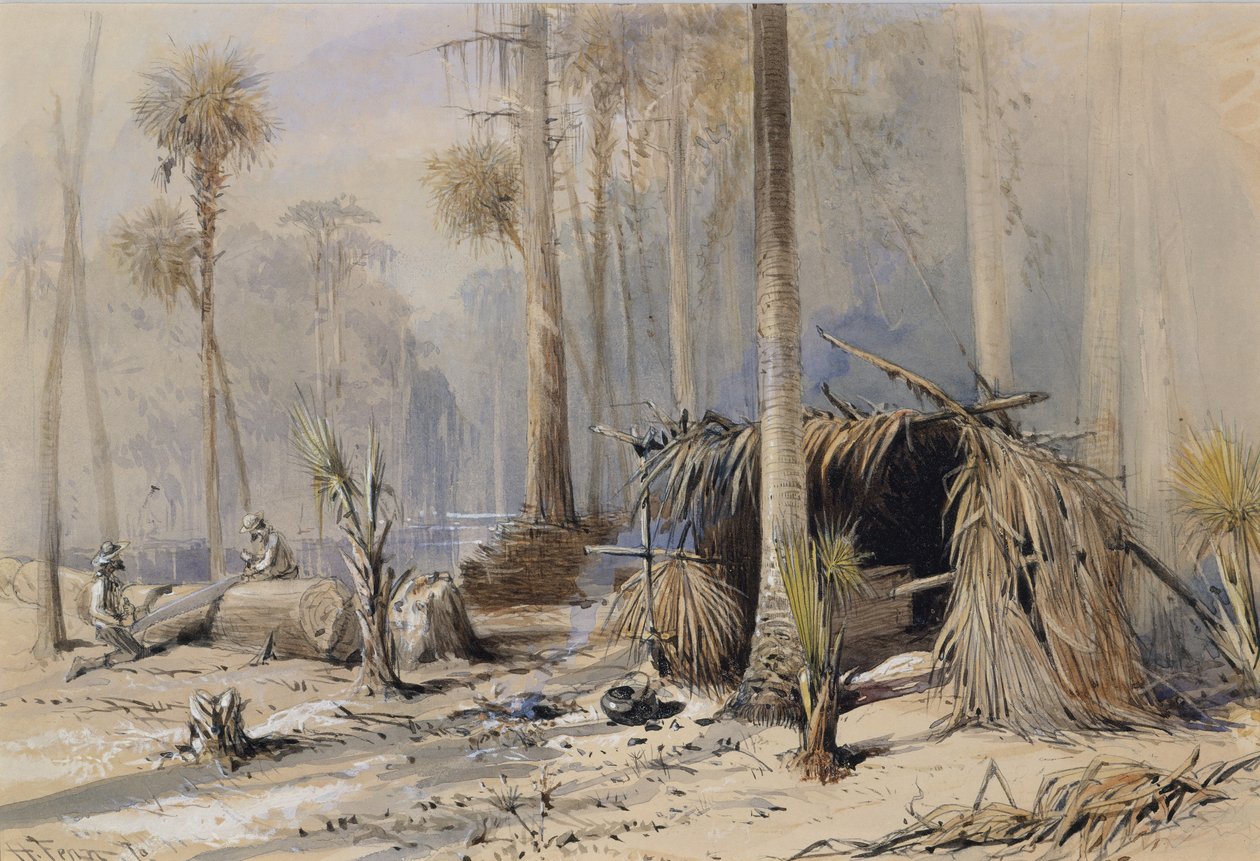De Cypress-Shingle Yard, Ocklawaha River, Florida door Harry Fenn