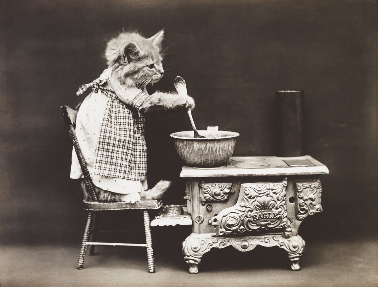 Kittieserie: Kok aan het fornuis, c.1914 (zilverdruk) door Harry Whittier Frees