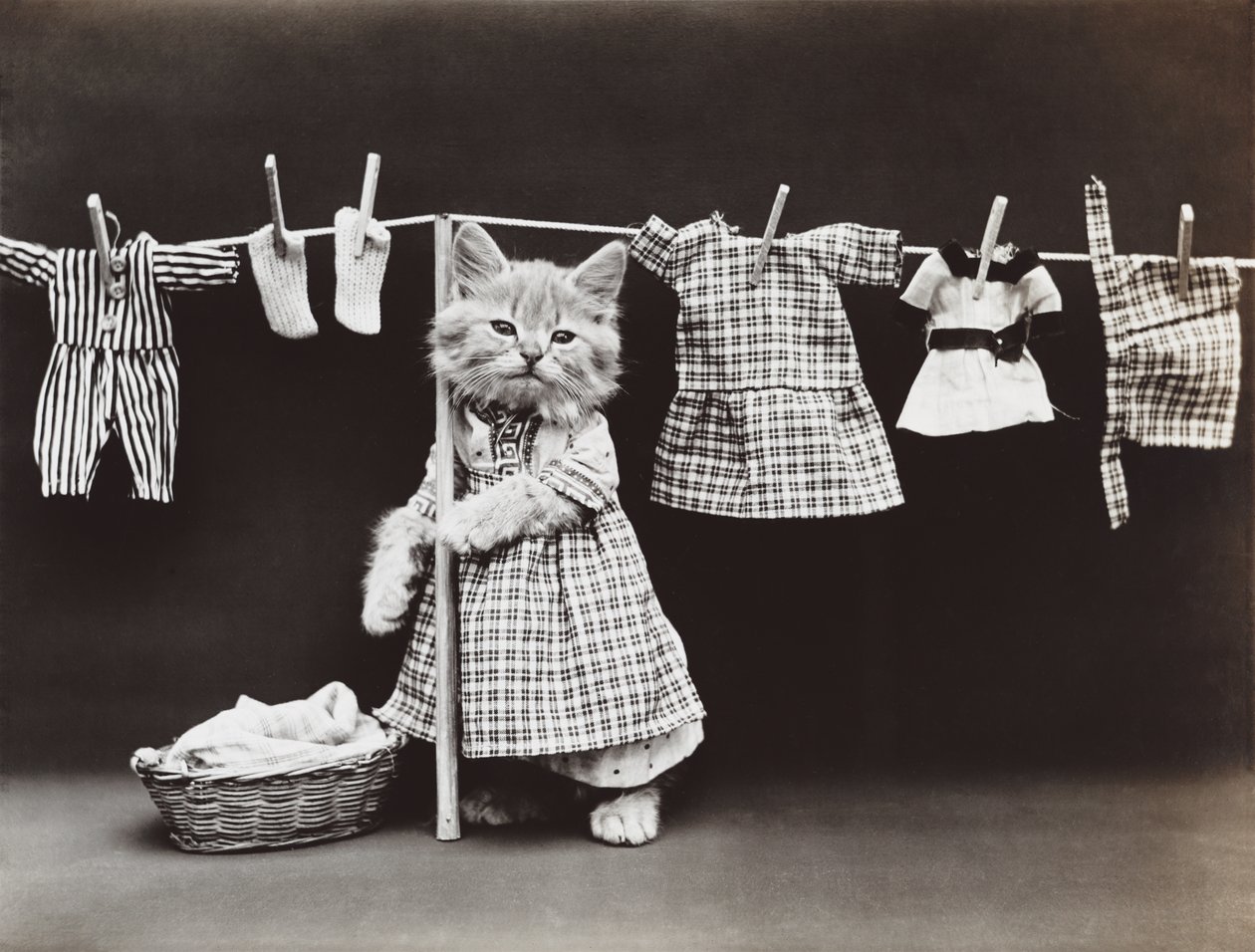 Kittieserie: Wasserij drogen, c.1914 (zilverdruk) door Harry Whittier Frees