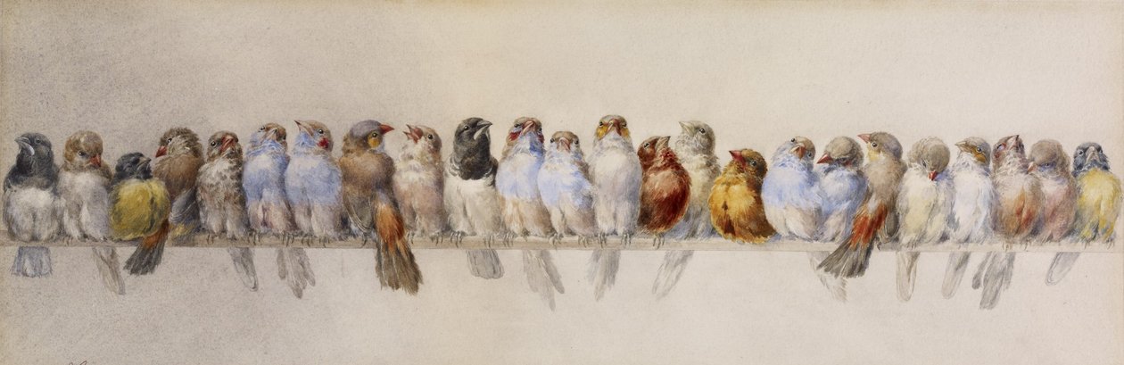 Een zitstok van vogels, ca. 1880 door Hector Giacomelli
