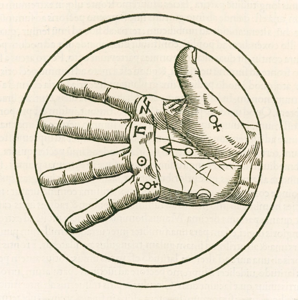 De hand van handleeskunde gravure uit De occulta philosophia libri tres door Heinrich Cornelius Agrippa von Nettesheim
