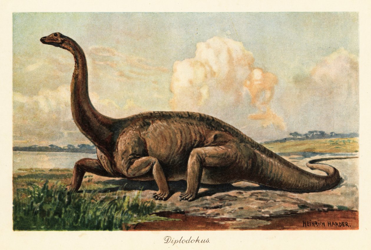 Uitgestorven Diplodocus longus op de vlaktes door Heinrich Harder