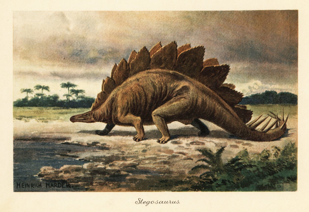 Stegosaurus armatus uit het Laat-Jura door Heinrich Harder