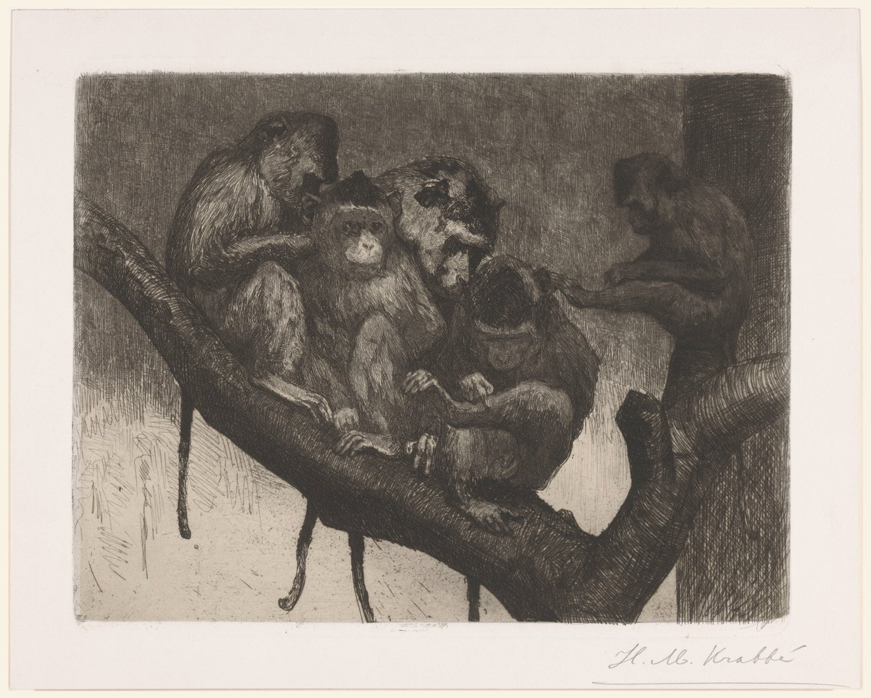Vijf apen in een boom door Heinrich M. Krabbé (signed by artist)