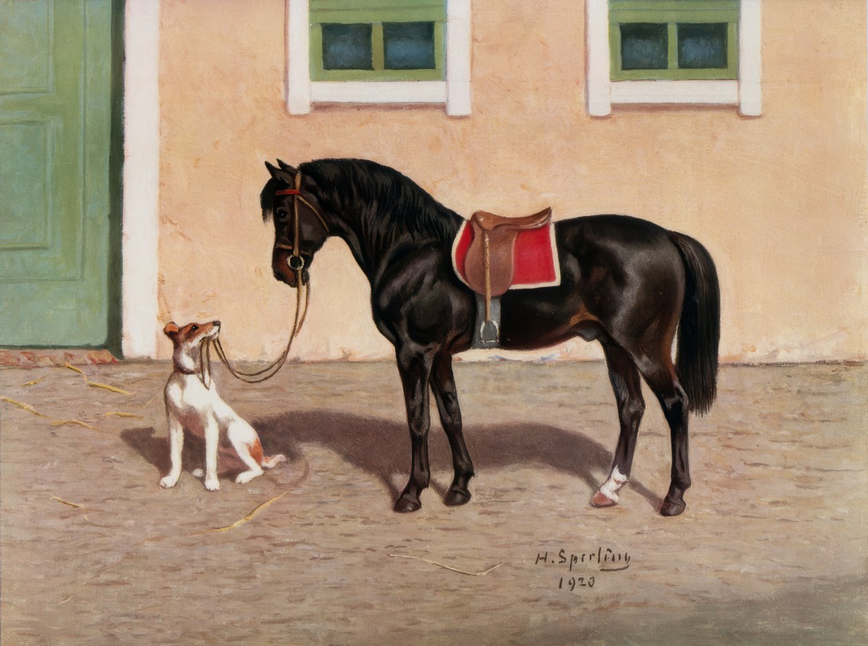 Paard, Zwart / naar H. Sperling door Heinrich Sperling