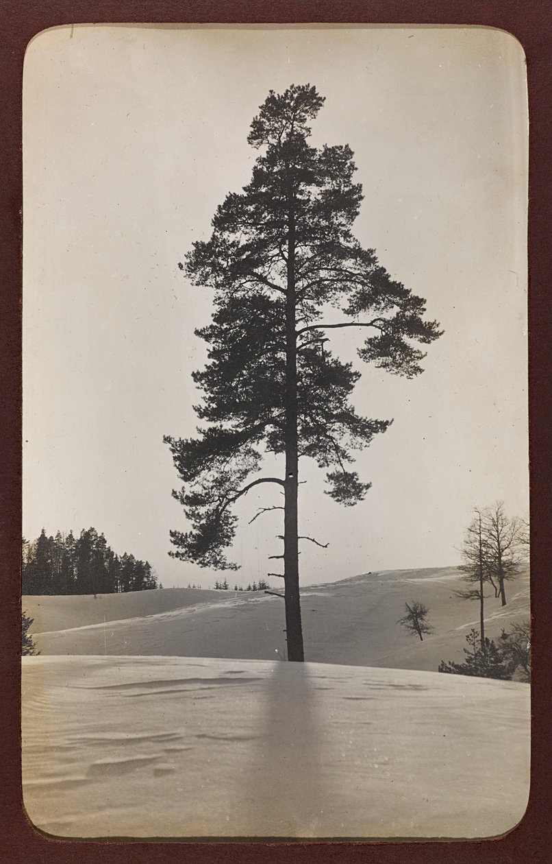 Eerste Wereldoorlog: Oekraïne in de jaren 1914-1916 tijdens de invasie van het Duitse leger. Landschap met sneeuw door Heldenfriedhof Dsessentniki (attr. to)