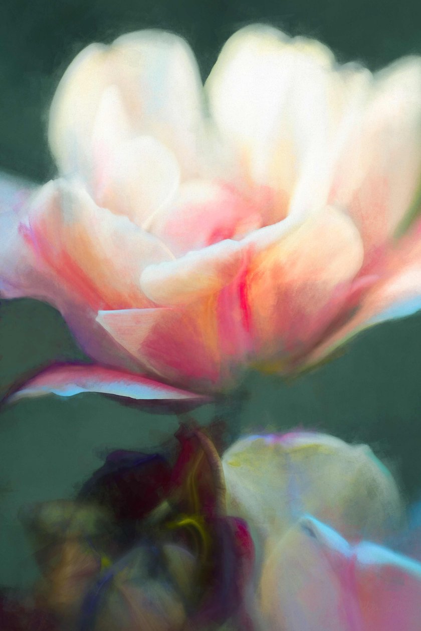 Opkomst II, 2018 door Helen White