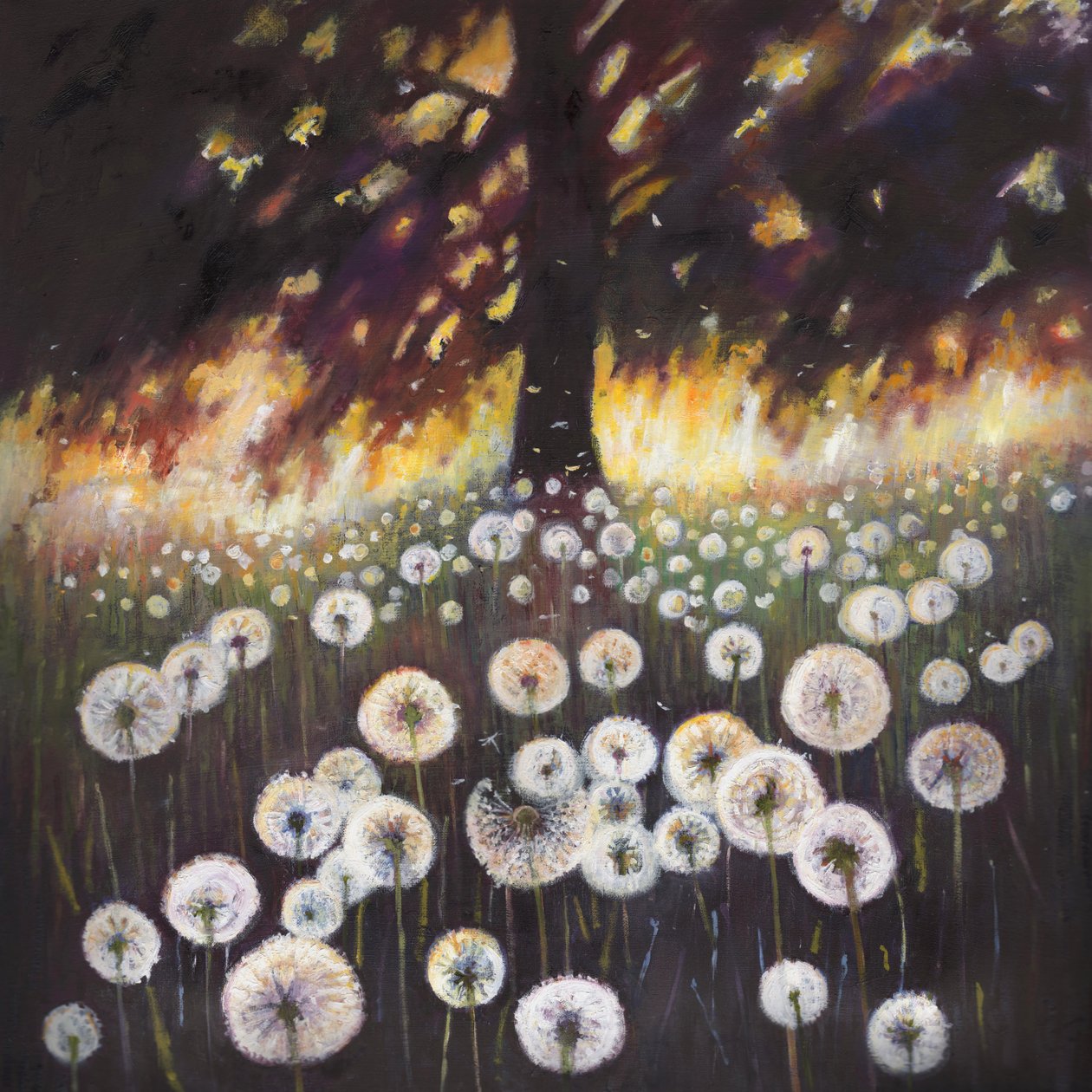 Veld van dromen, 2015 door Helen White