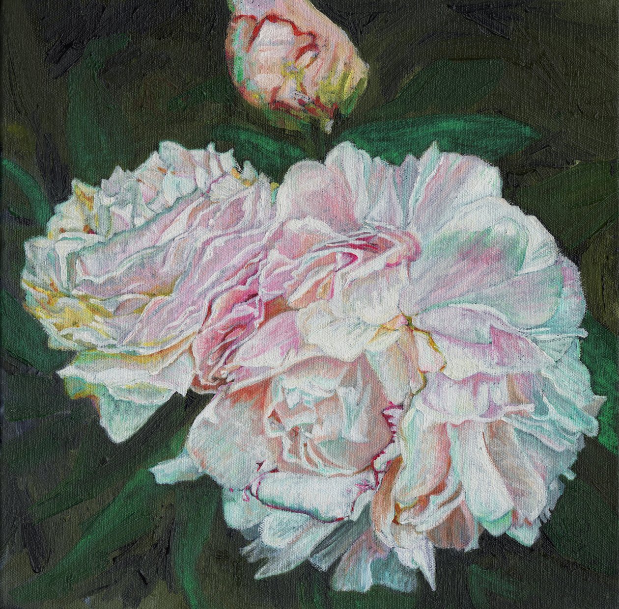 Eerste bloei, 2012 door Helen White