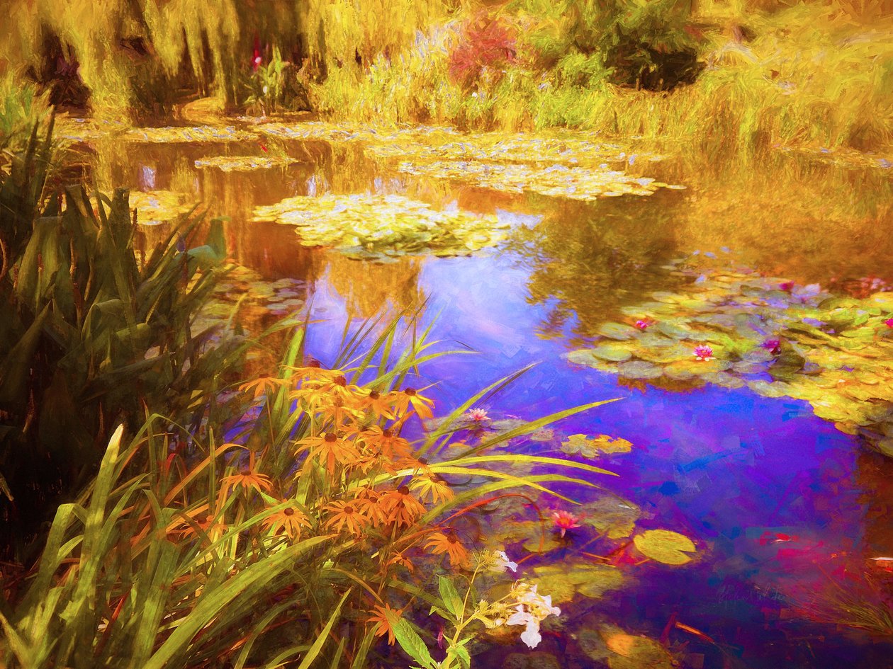 Giverny waterlelies, 2019 door Helen White