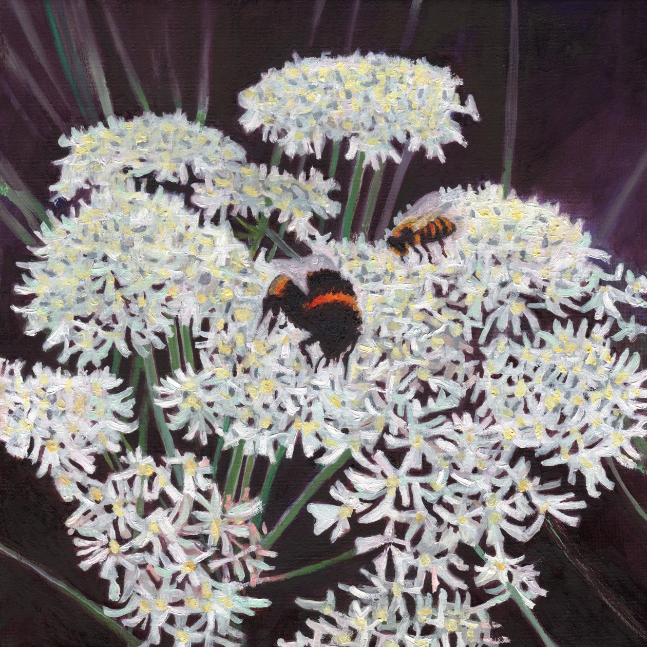 Bloeiwijze, 2015 door Helen White